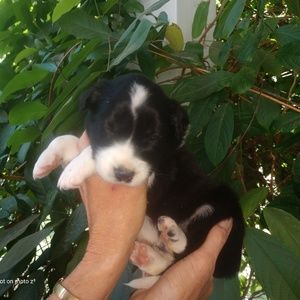 Meet your Posher, Catherine